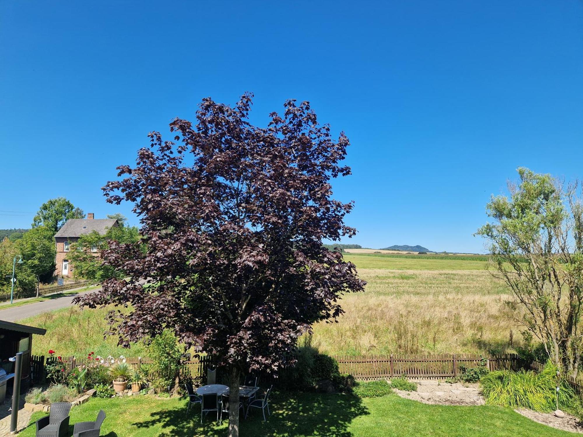 Ferienwohnung Flair Großlittgen Dış mekan fotoğraf